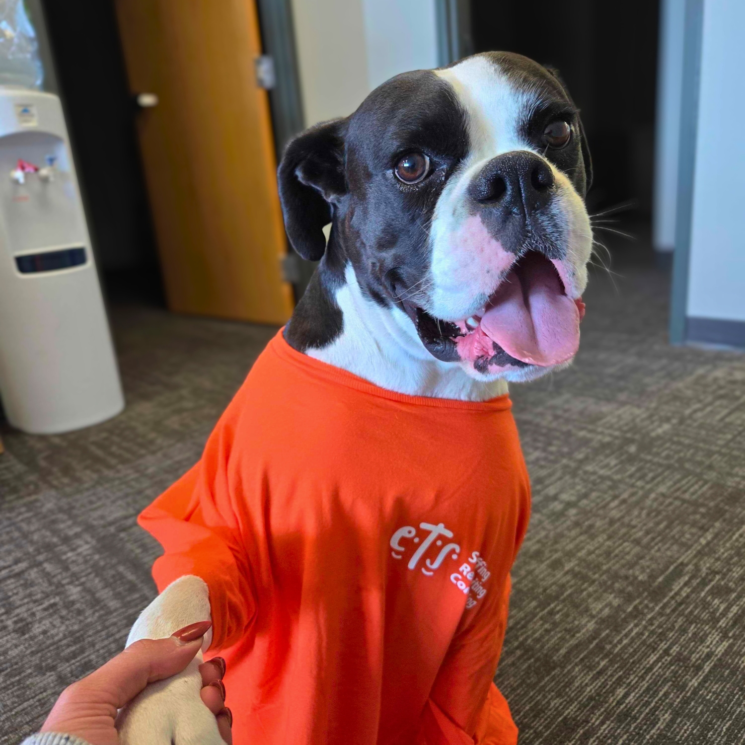 The office dog at the ETS Troy, New York office